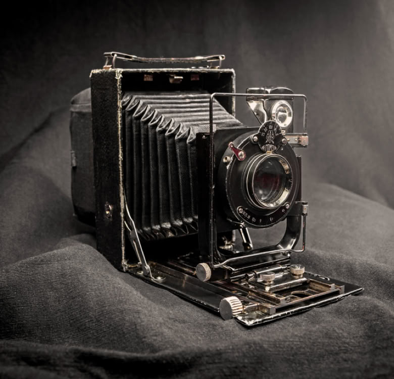 Viw our fortnightly online auctions